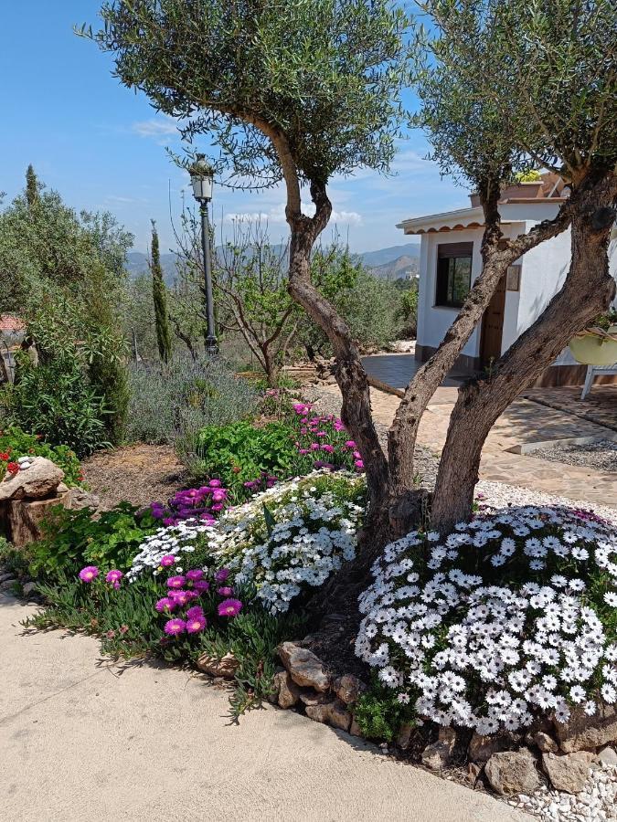 Casa Oasis Leilighet Alora Eksteriør bilde